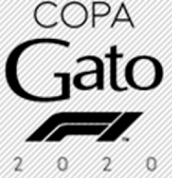 Copa GATO x Equipos